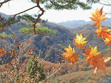 堕胎药购买微信巴菲特透露伯克希尔公司近期差点花掉100亿美元