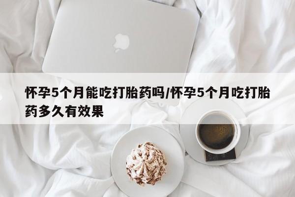 admin 第142页