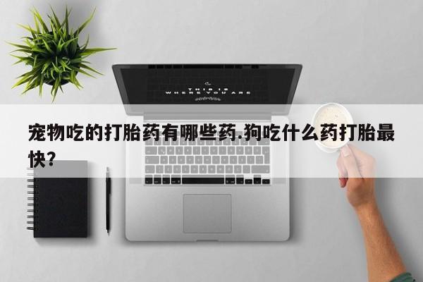 堕胎药购买微信宠物吃的打胎药有哪些药.狗吃什么药打胎最快？